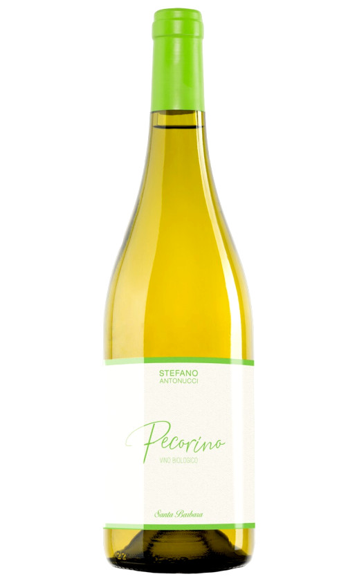 Santa Barbara Pecorino