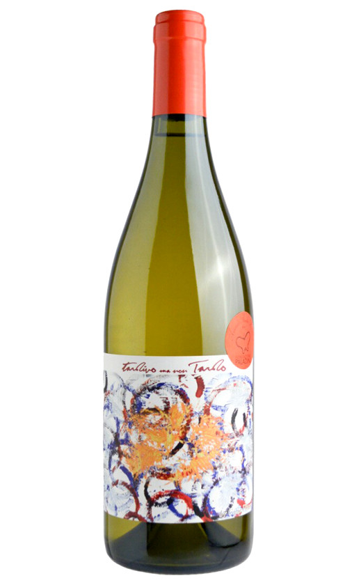 Santa Barbara Tardivo ma non tardo Verdicchio dei Castelli di Jesi Classico 2005