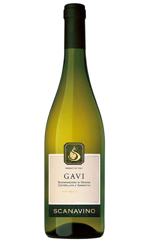 Scanavino Gavi 2020