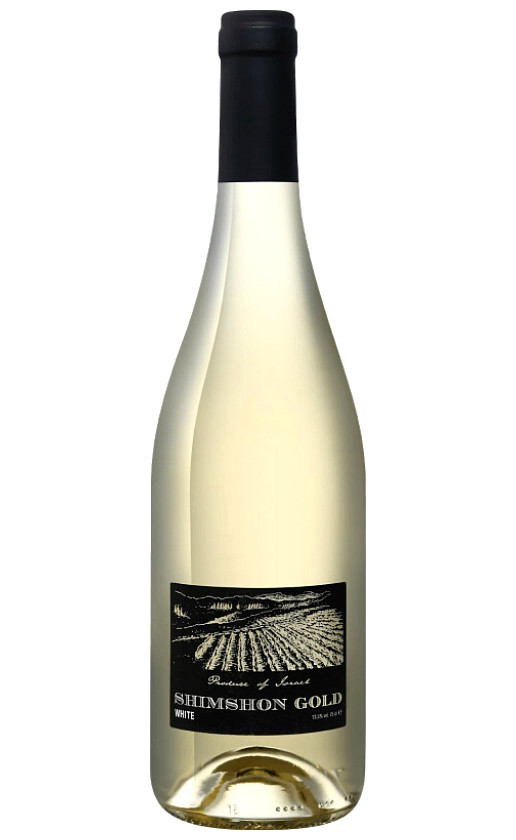 Shimshon Gold White 2019