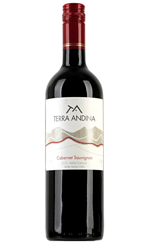Sur Andino Terra Andina Cabernet Sauvignon Valle Central