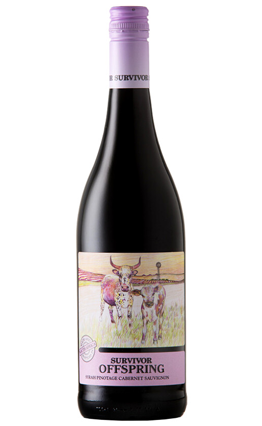 Survivor Offspring Cape Red Blend