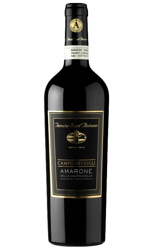 Tenuta Sant'Antonio Campo dei Gigli Amarone della Valpolicella 2015