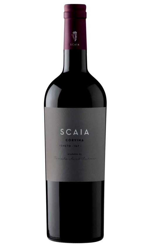 Tenuta Sant'Antonio Scaia Corvina Veneto 2016
