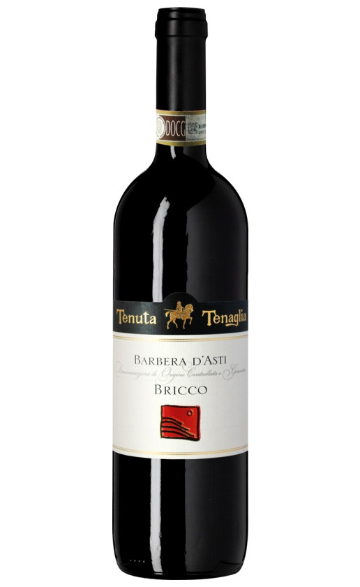 Tenuta Tenaglia Bricco Barbera d'Asti 2017