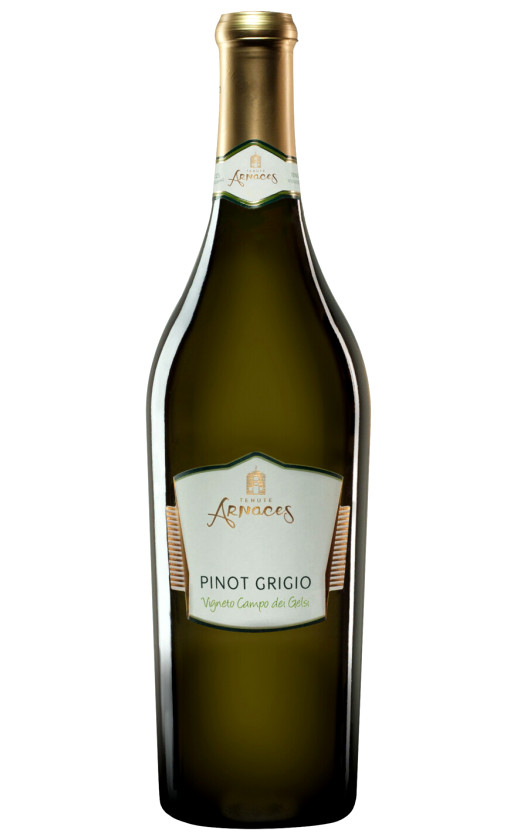 Tenute Arnaces Pinot Grigio Vigneto Campo dei Gelsi