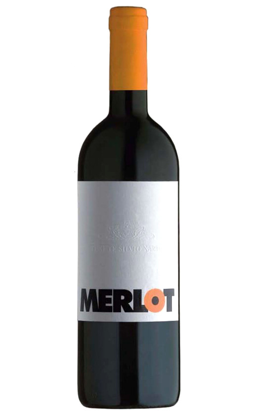 Tenute Silvio Nardi Merlot Sant'Antimo 2005