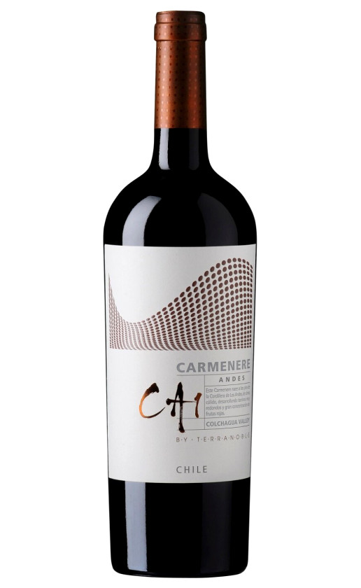 TerraNoble CA1 Carmenere Andes 2012