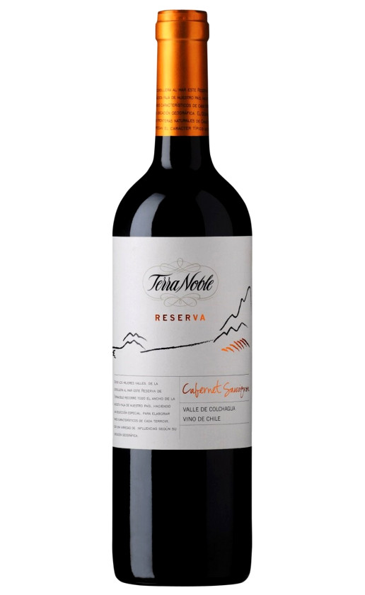 TerraNoble Reserva Cabernet Sauvignon 2013