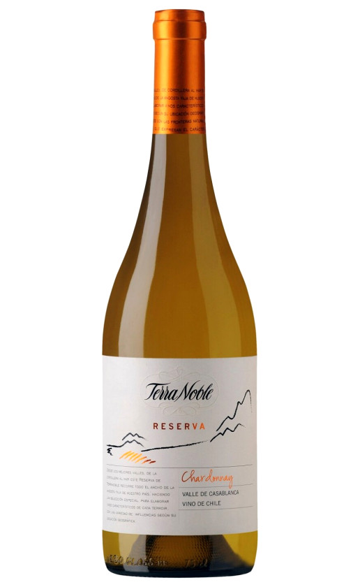 TerraNoble Reserva Chardonnay 2013