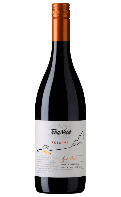 TerraNoble Reserva Pinot Noir 2013