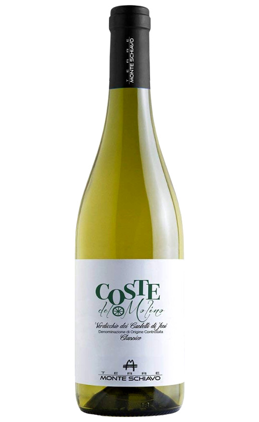 Terre Monte Schiavo Coste del Molino Verdicchio dei Castelli di Jesi Classico 2016