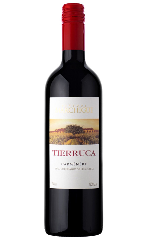 Tierruca Carmenere Colchagua Valley