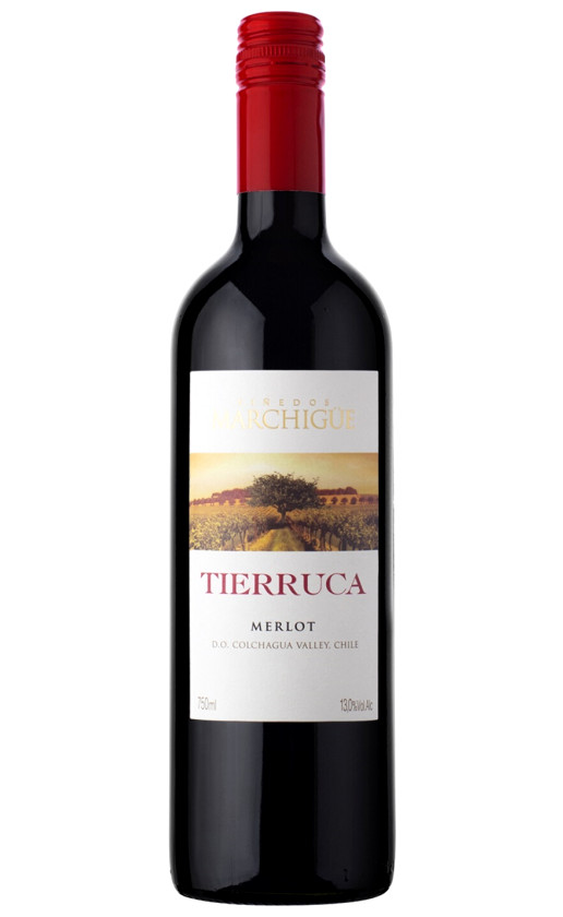 Tierruca Merlot Colchagua Valley