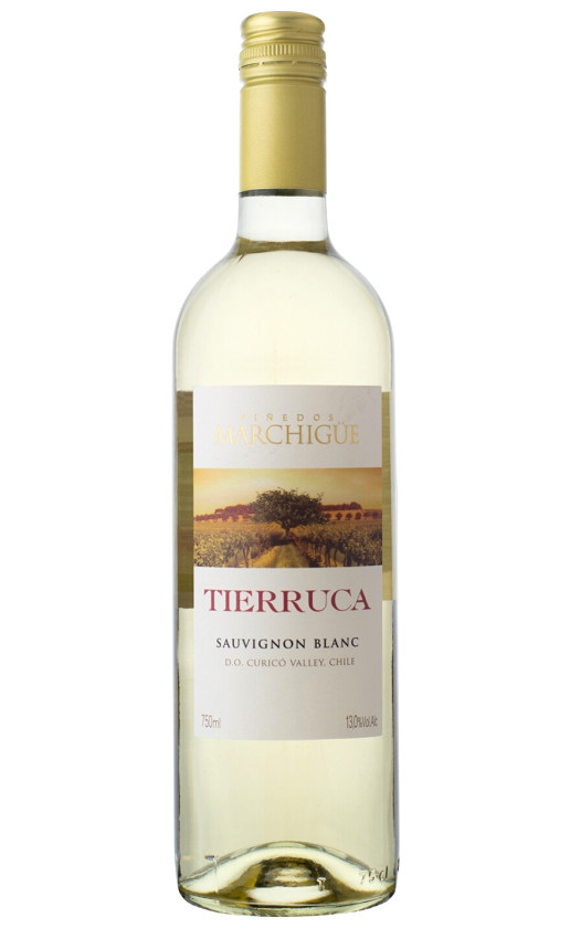 Tierruca Sauvignon Blanc Curico Valley