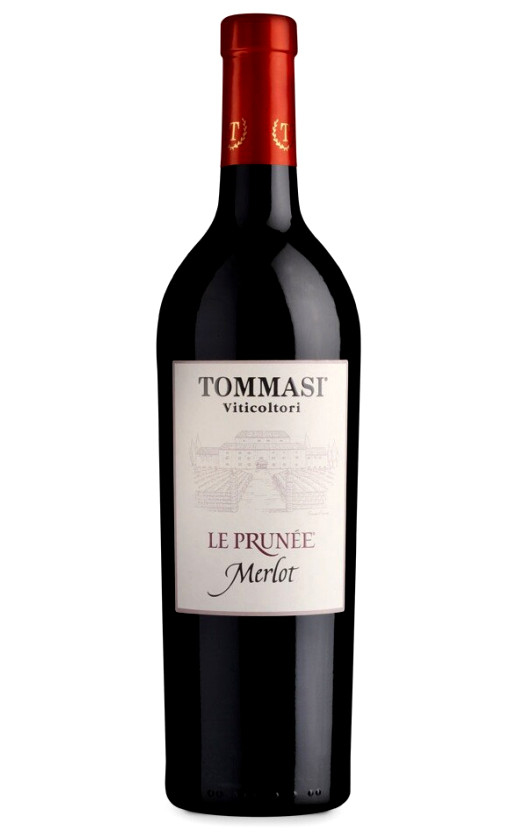 Tommasi Le Prunee Merlot Venezie
