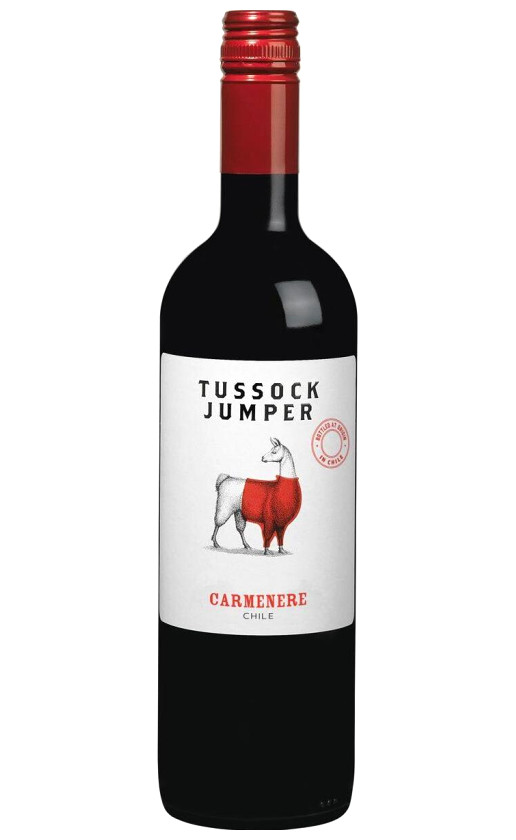 Tussock Jumper Carmenere