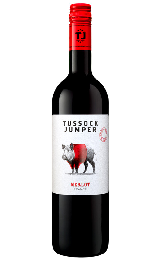 Tussock Jumper Merlot