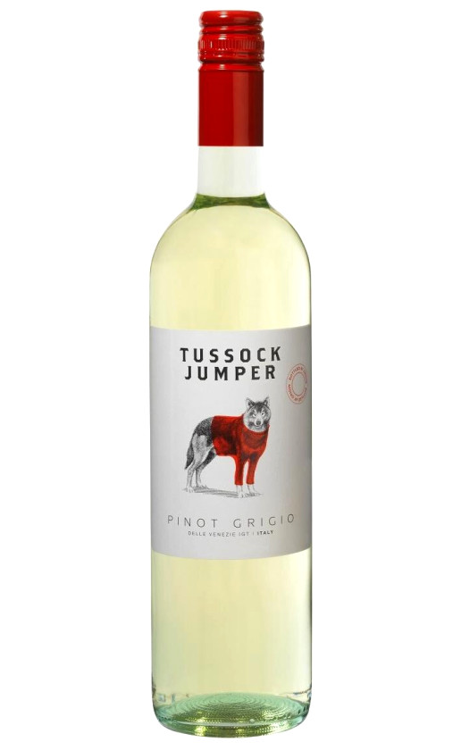 Tussock Jumper Pinot Grigio