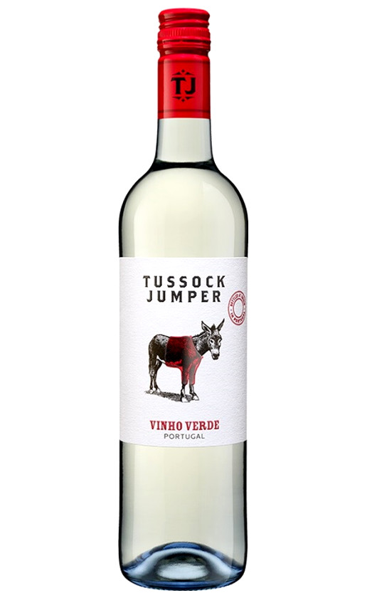 Tussock Jumper Vinho Verde
