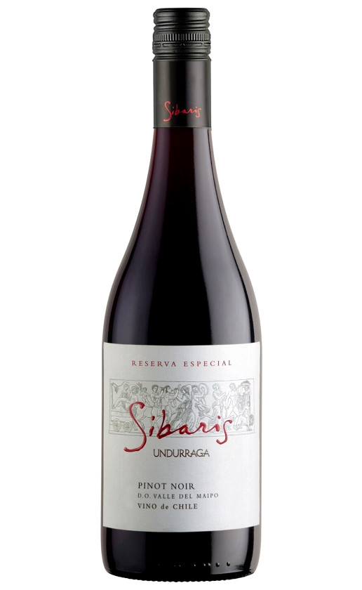 Undurraga Sibaris Pinot Noir Reserva Especial Maipo Valley 2014