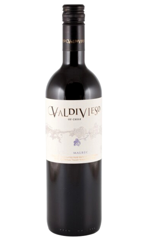Valdivieso Malbec 2009