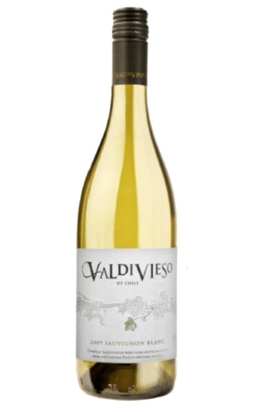 Valdivieso Sauvignon Blanc 2010