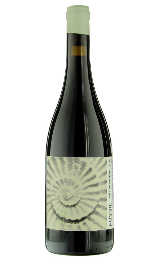 Vale da Capucha Fossil Torres Vedras 2016
