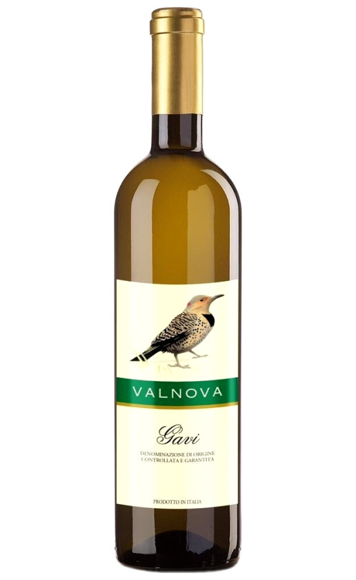 Valnova Gavi