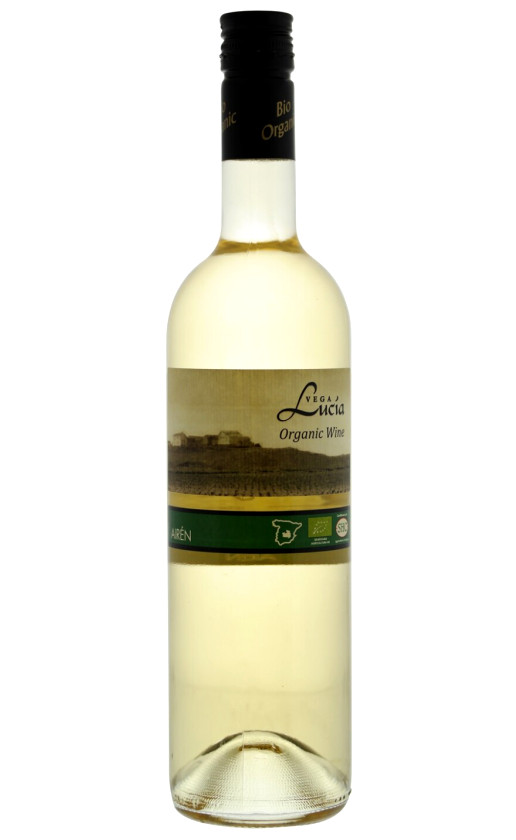 Vega Lucia Airen Tierra de Castilla