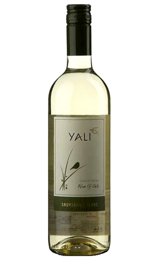 Ventisquero Yali Sauvignon Blanc