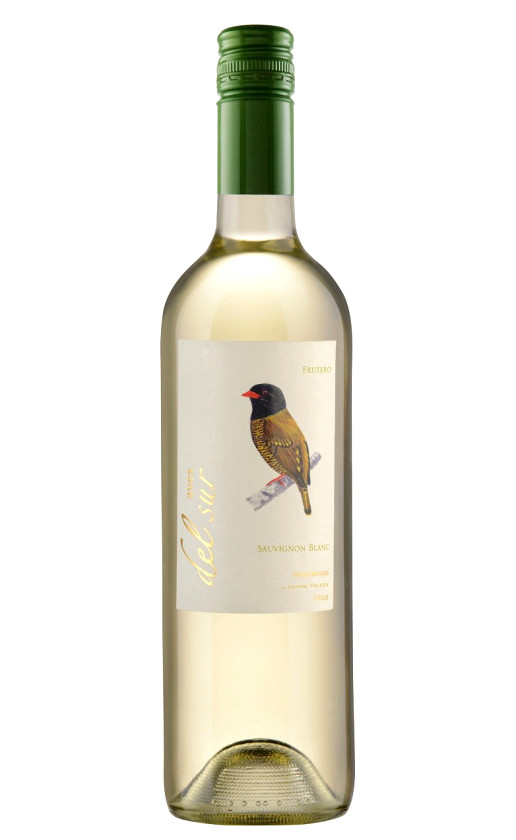Vina Carta Vieja Aves del Sur Sauvignon Blanc Central Valley 2015