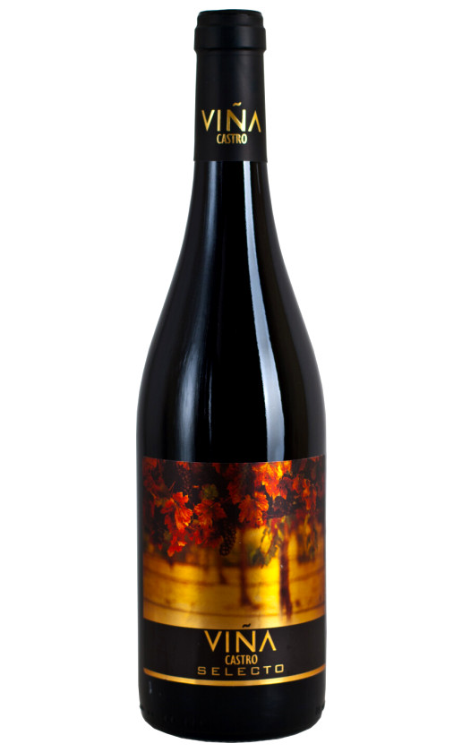 Vina Castro Selecto
