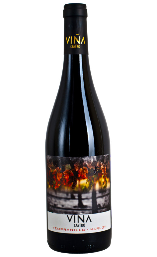 Vina Castro Tempranillo-Merlot