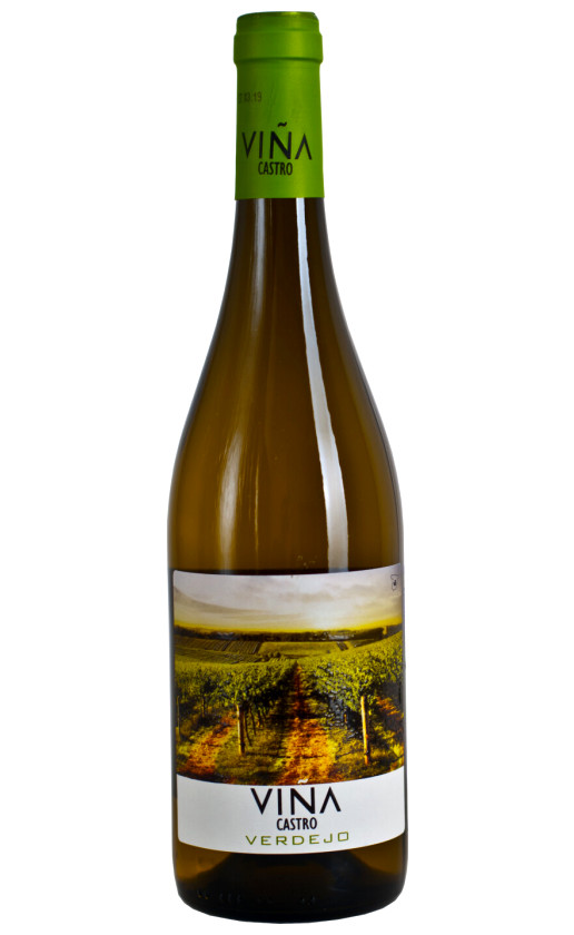 Vina Castro Verdejo