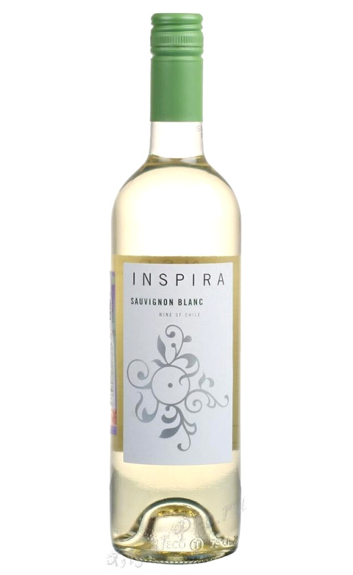 Vina Chocalan Inspira Sauvignon Blanc 2017