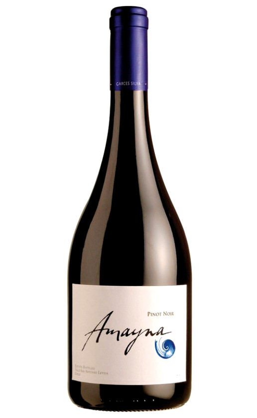 Vina Garces Silva Limitada Amayna Pinot Noir 2016