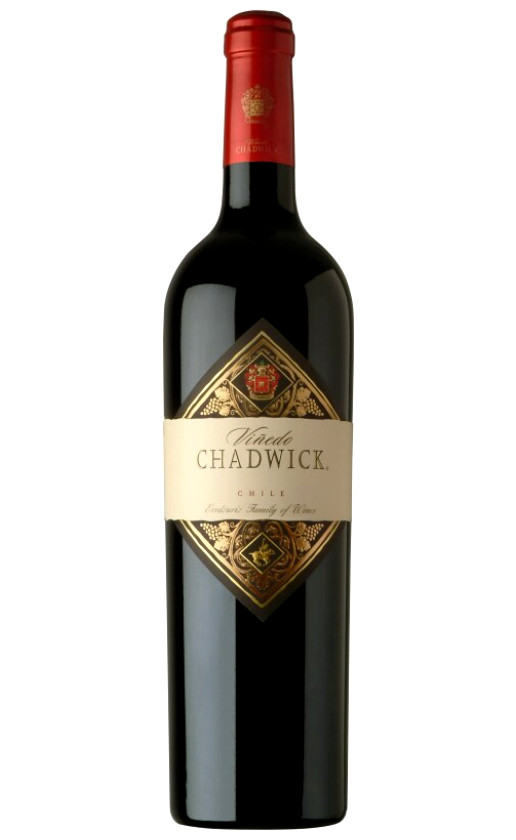 Vinedo Chadwick Valle de Maipo 2011