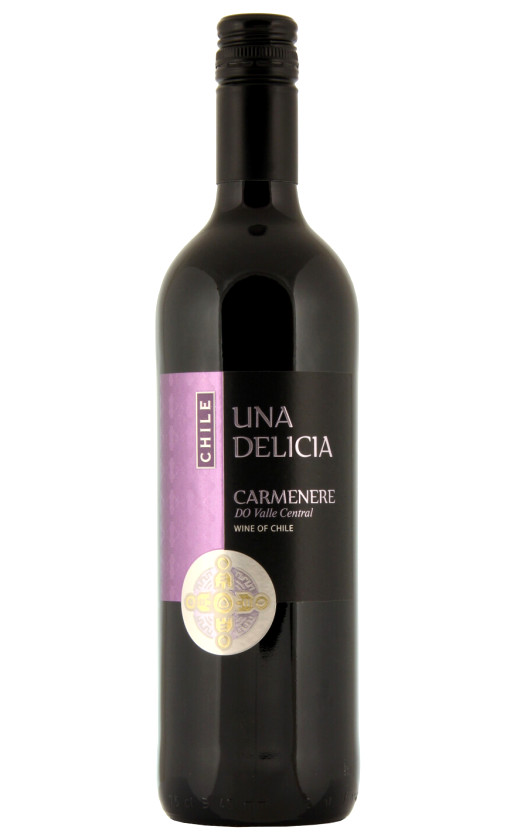 Vinedos Puertas Una Delicia Carmenere Valley Central 2020