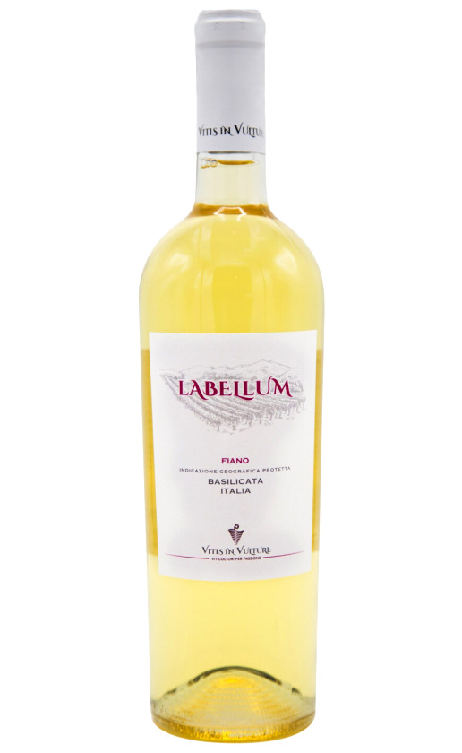 Vitis in Vulture Labellum Fiano Basilicata