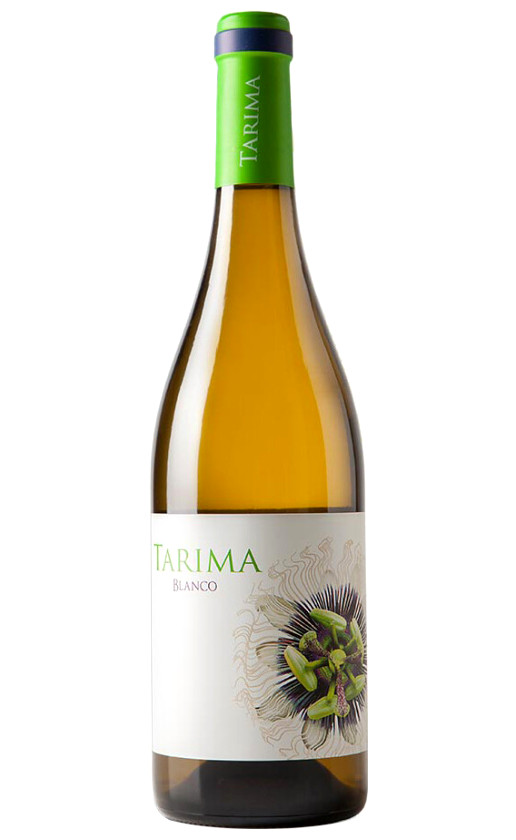 Volver Tarima Blanco Alicante 2019
