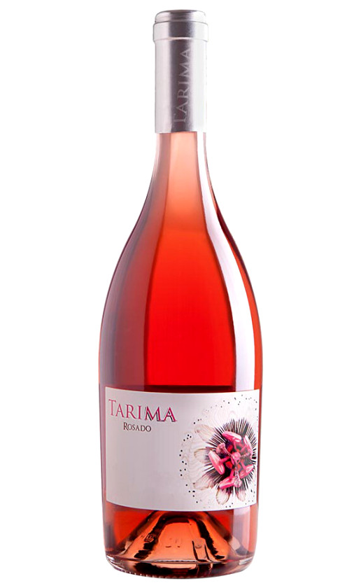 Volver Tarima Rosado Alicante 2018
