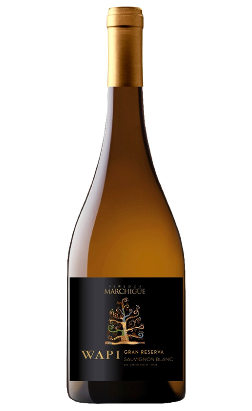 Wapi Sauvignon Blanc Gran Reserva Curico Valley