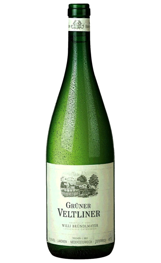 Weingut Brundlmayer Gruner Veltliner