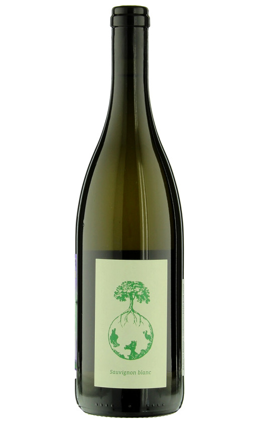 Werlitsch Sauvignon Blanc vom Opok 2018